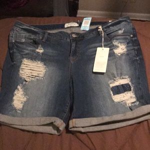 Torrid Coverdale Shorts NWT size 20